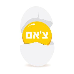 צ'אם