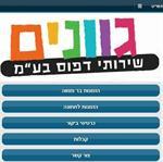 אתר סלולרי דמוי אפליקציה