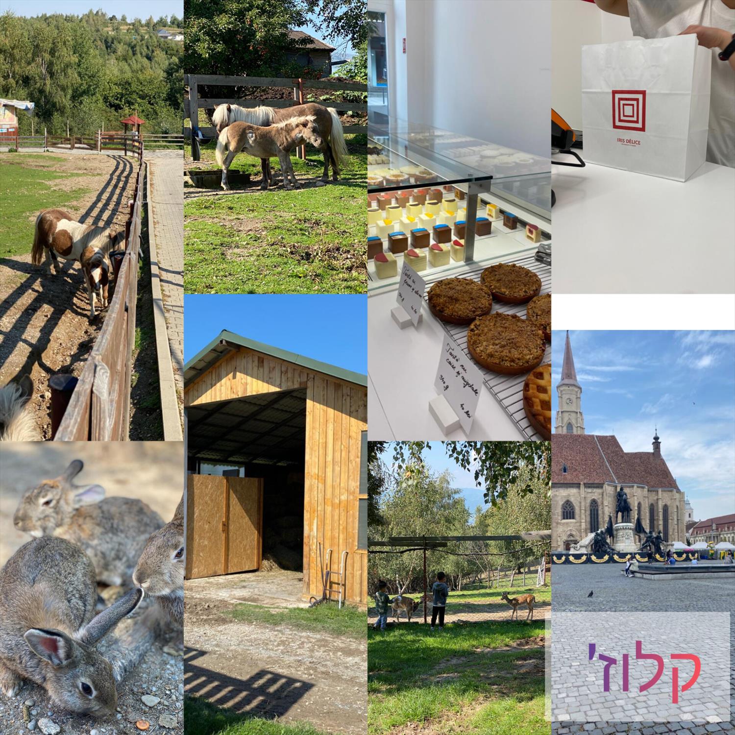 קלוז רומניה אחרת