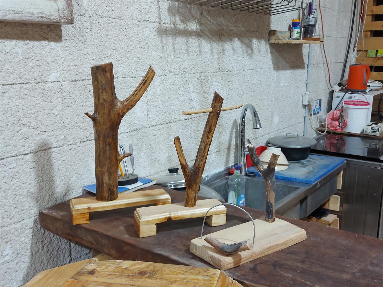 שורשים מתחם DIY