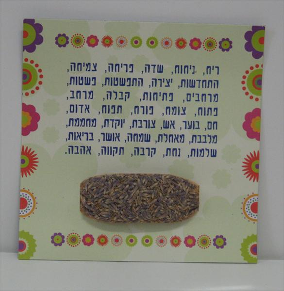 מגנט לבנדר ופריחה