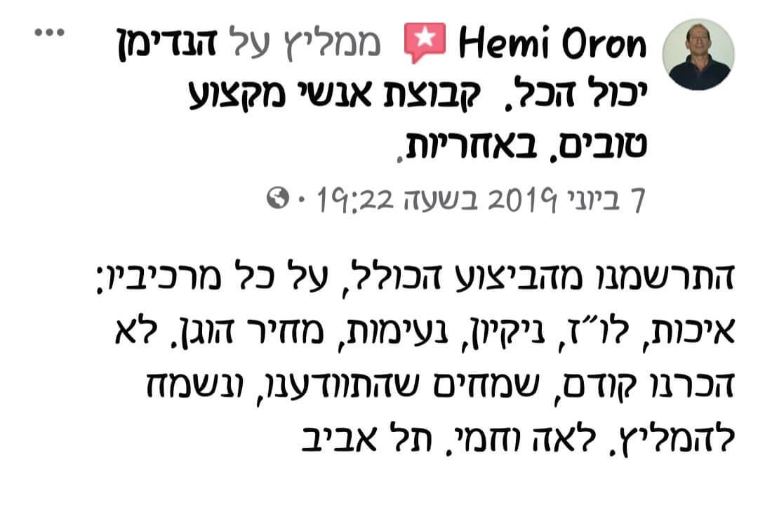 חוות דעת על הנדימן יכול הכל