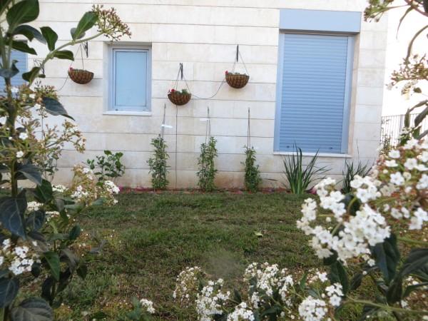להשכרה דירת גן 4 חדרים 5500 ש"ח