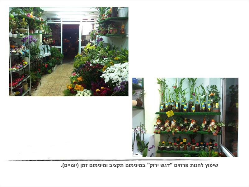 עיצוב חנות פרחים
