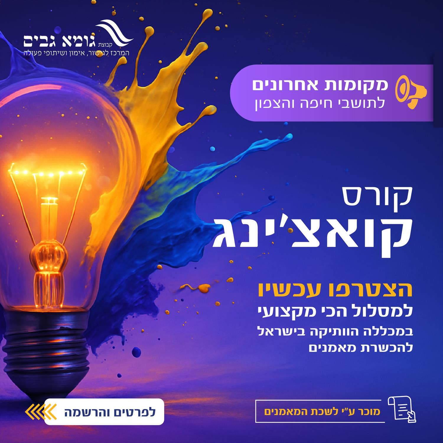עיצובים לדיגיטל למכללת ליה לונדון