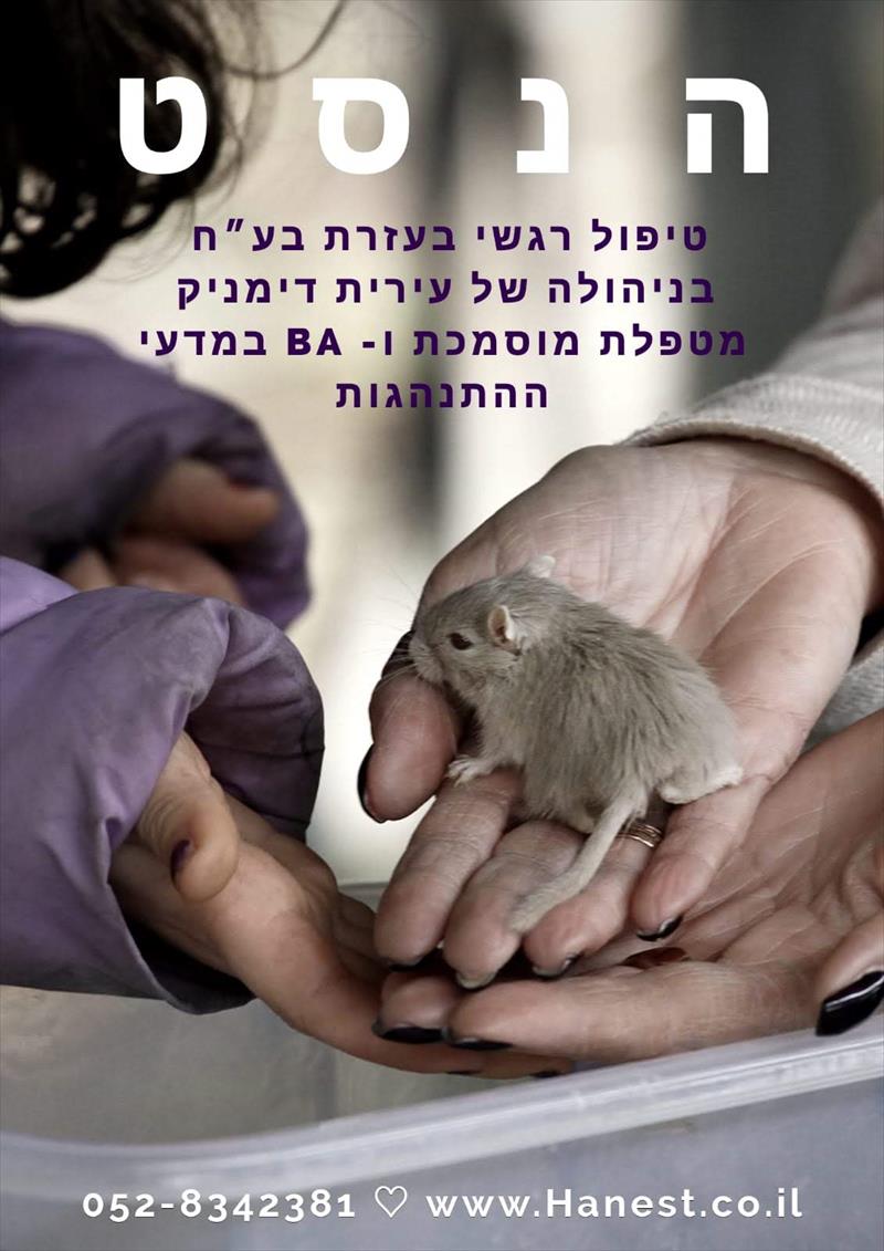 טיפול רגשי בעזרת בע״ח