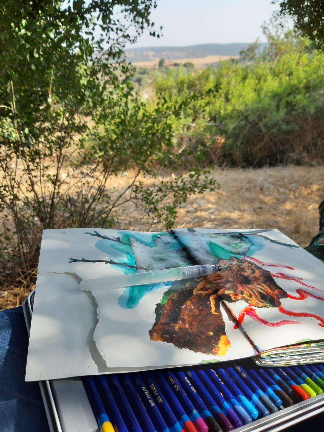 טיול בטבע עם היומן הויזואלי