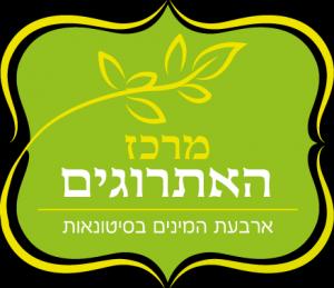 כתיבת תכנים שיווקיים