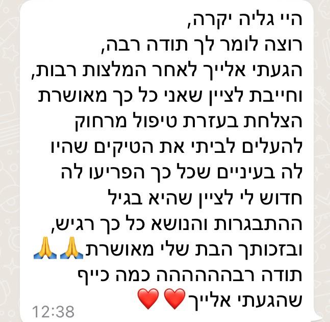 גליה נתן אפשטיין, איזון אנרגטי, הילינג אנרגטי וביואורגונומי