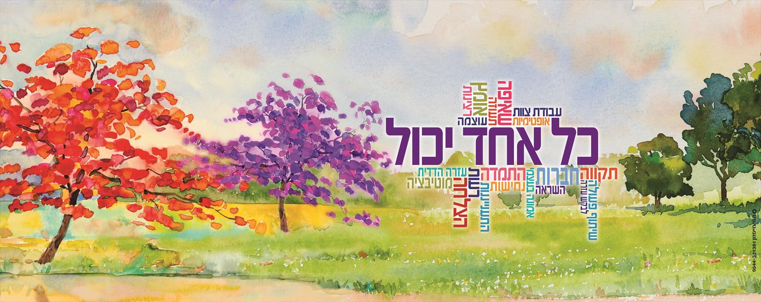 עיצוב קירות מרחבי למידה