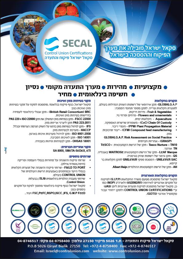 פלייר סקאל