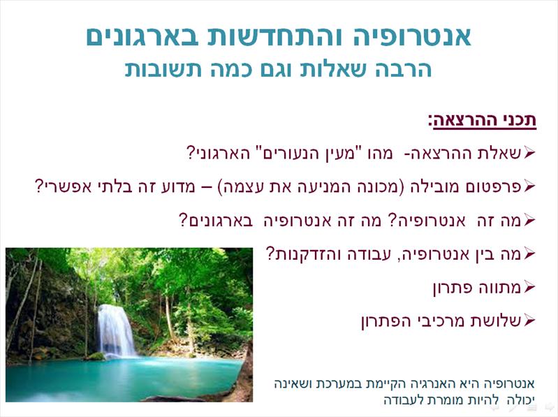 הרצאה - ניהול אנטרופיה ארגונית