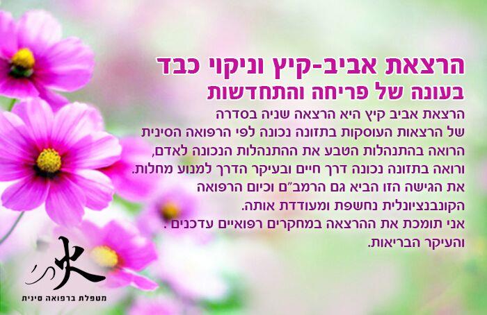 הרצאת אביב קיץ וניקוי רעלים