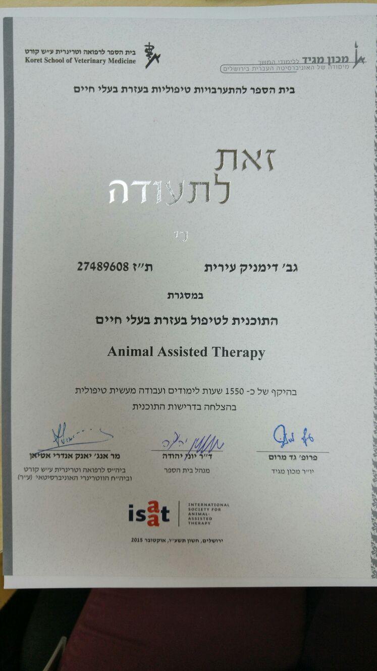 תעודת מטפל רגשי