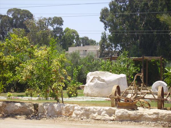 מבט על החצר