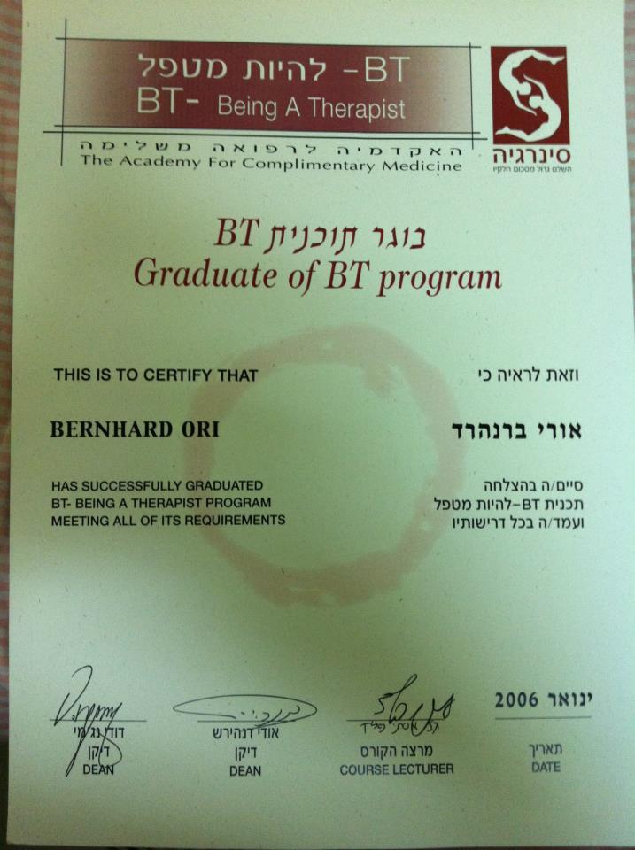 תעודות מקצועיות