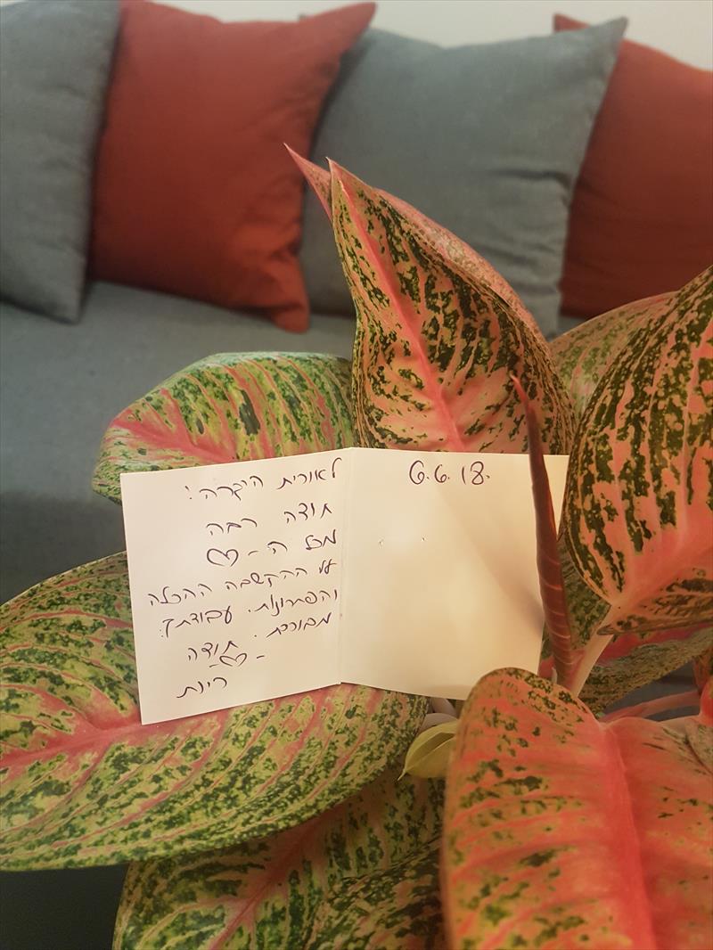 רגעי נחת בקליניקה...