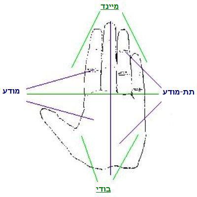 אבחון כירולוגי באמצעות כף יד