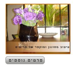 עיצוב פינת אוכל בבית פרטי
