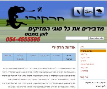 הקמת אתרים חבילה בסיסית