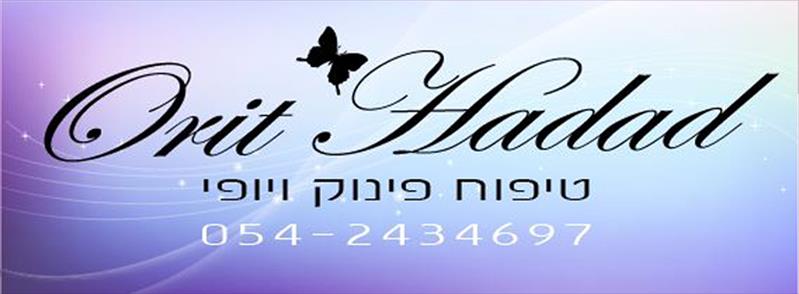 לוגו