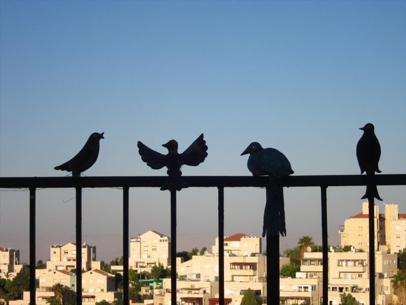 ציפורים מקרמיקה על הגדר