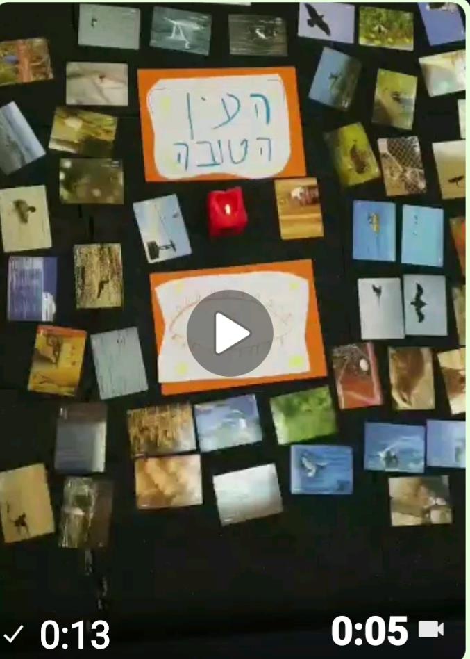 מונא אבו גבל  נ.ל.פ טרינר