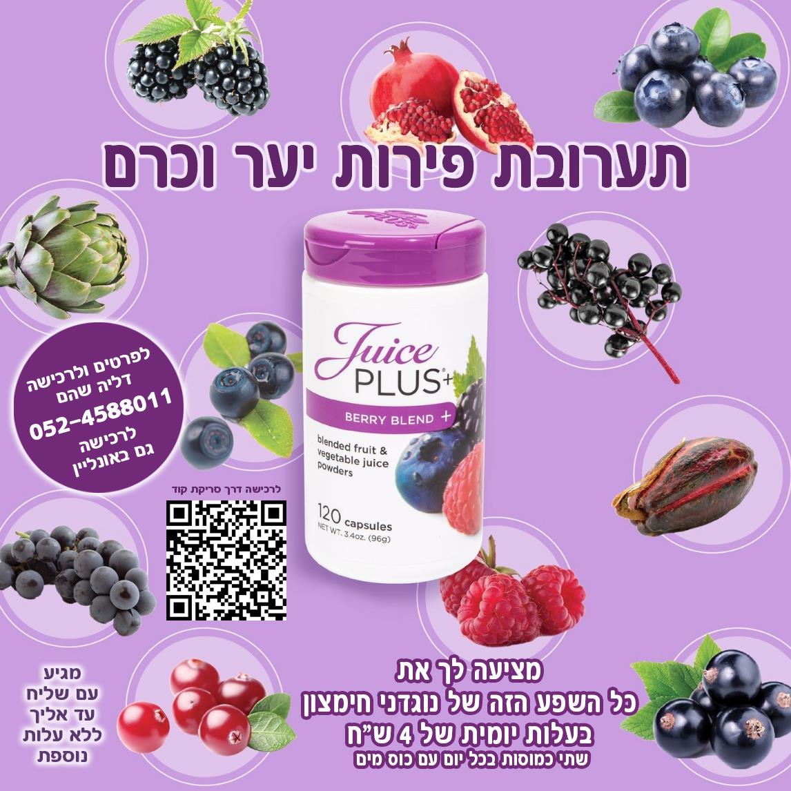 Berry Blend - Build a solid nutritional foundation for yourself and your family