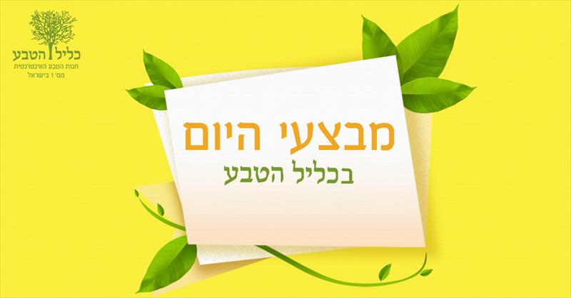 עיצוב פוסט