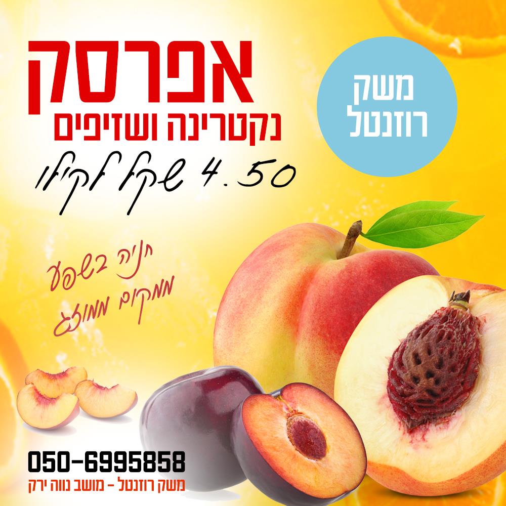 ורד שפירא- עיצוב פוסט