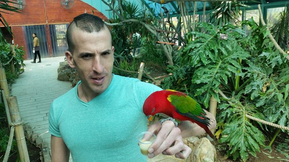 האכלת תוכים גן החיות בירושלים פארקים גנים בישראל אסף הניגסברג טיול לירושלים הפארקים הגנים ירושלים