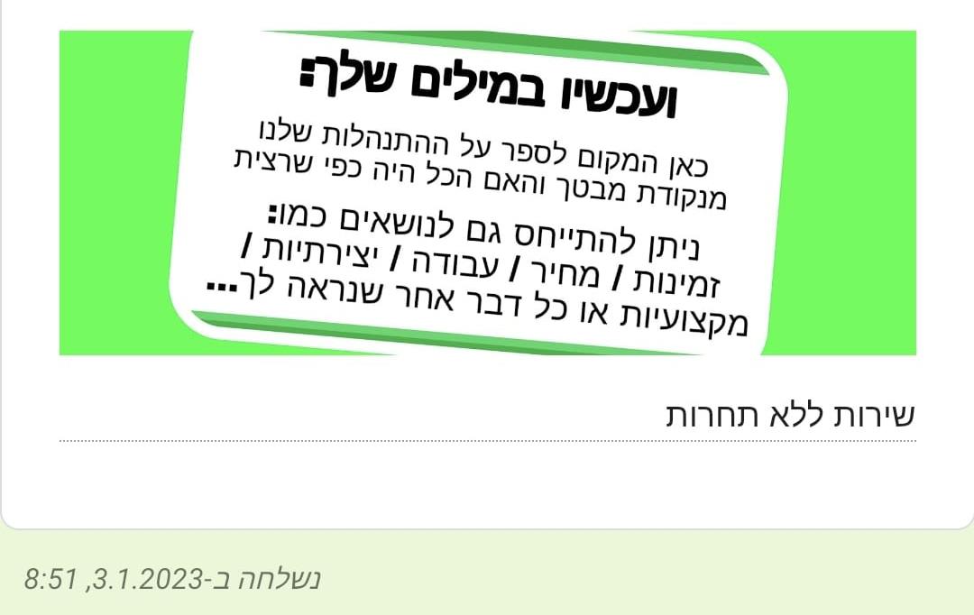 חוות דעת על הנדימן יכול הכל