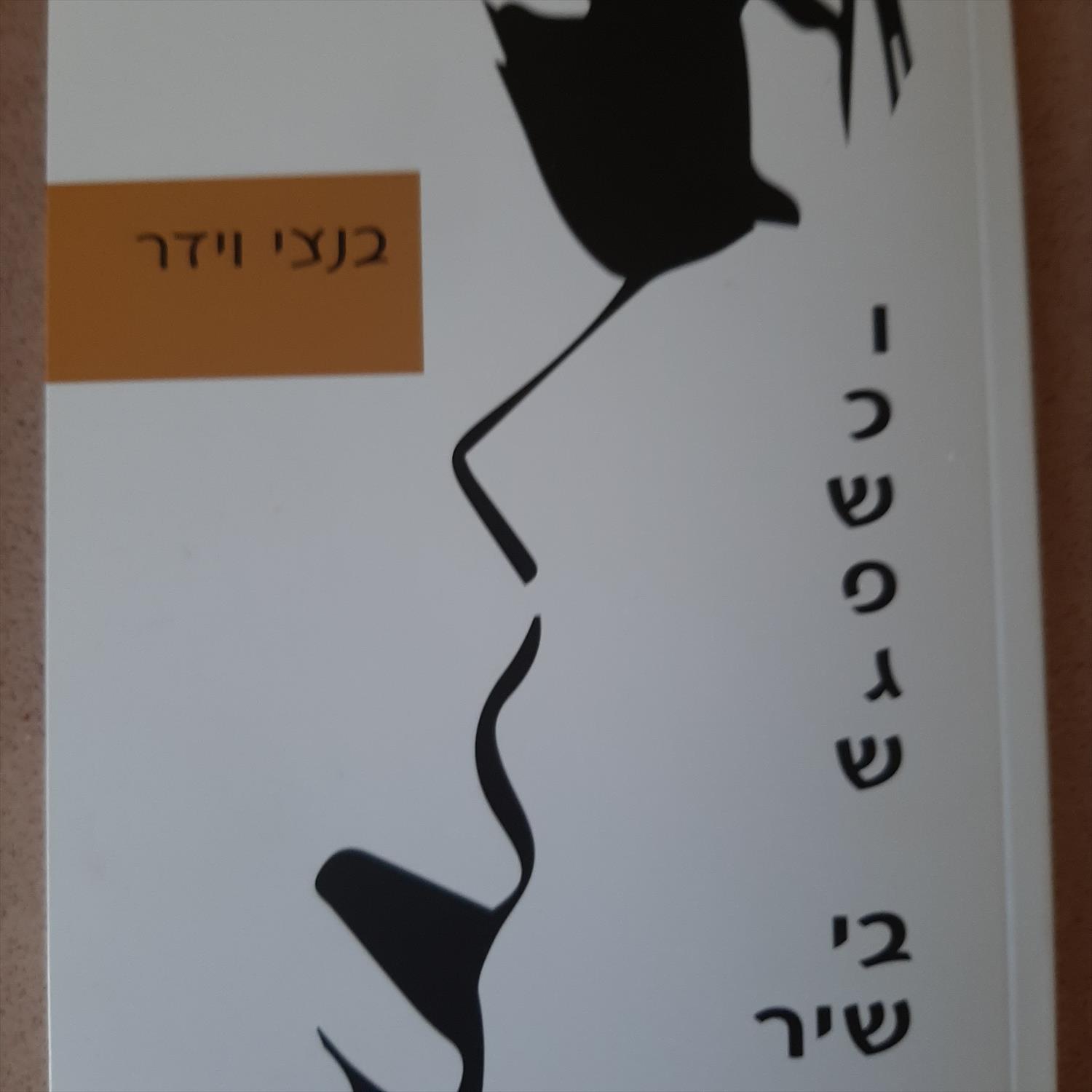 וכשפגש בי שיר