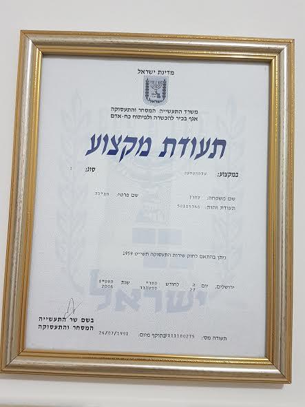 תעודת מקצוע