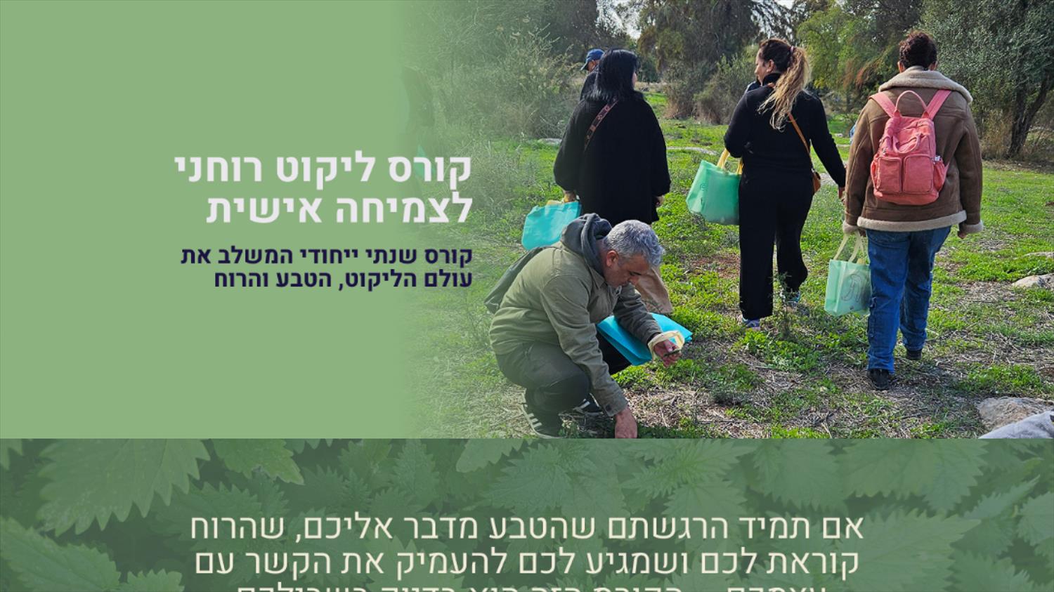איריס אשוח - קורס ליקוט