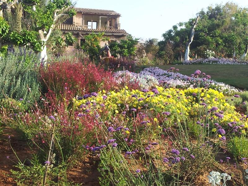 גינה ים תיכונית בבית ינאי