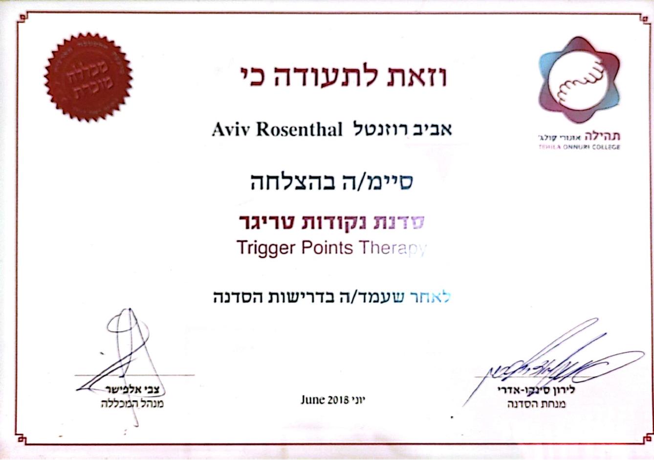 תעודת מקצוע