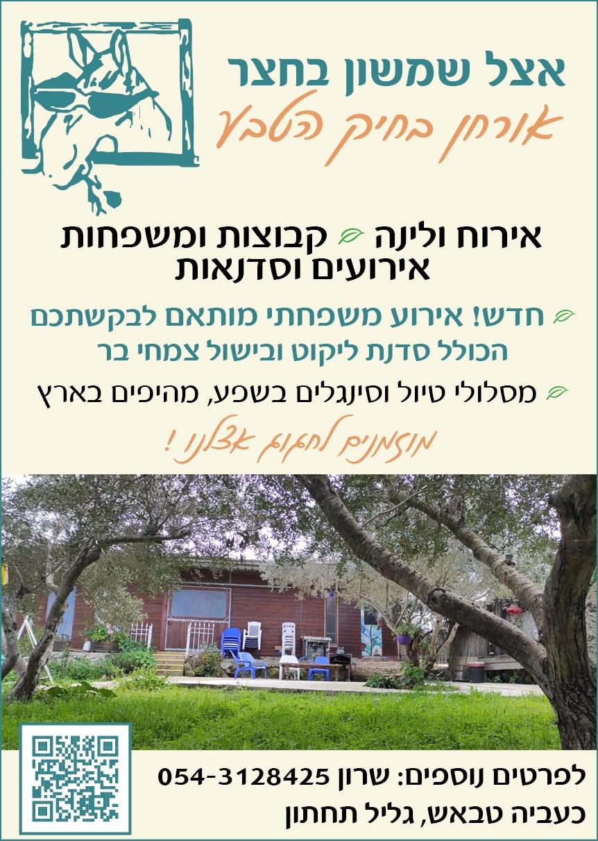 בורשור