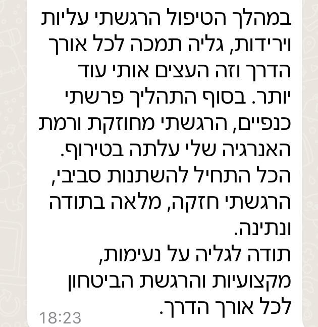 גליה נתן אפשטיין, איזון אנרגטי, הילינג אנרגטי וביואורגונומי