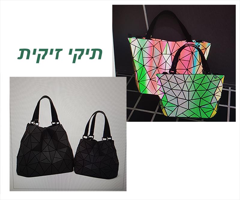 תיקי זיקית