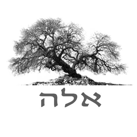 לוגו