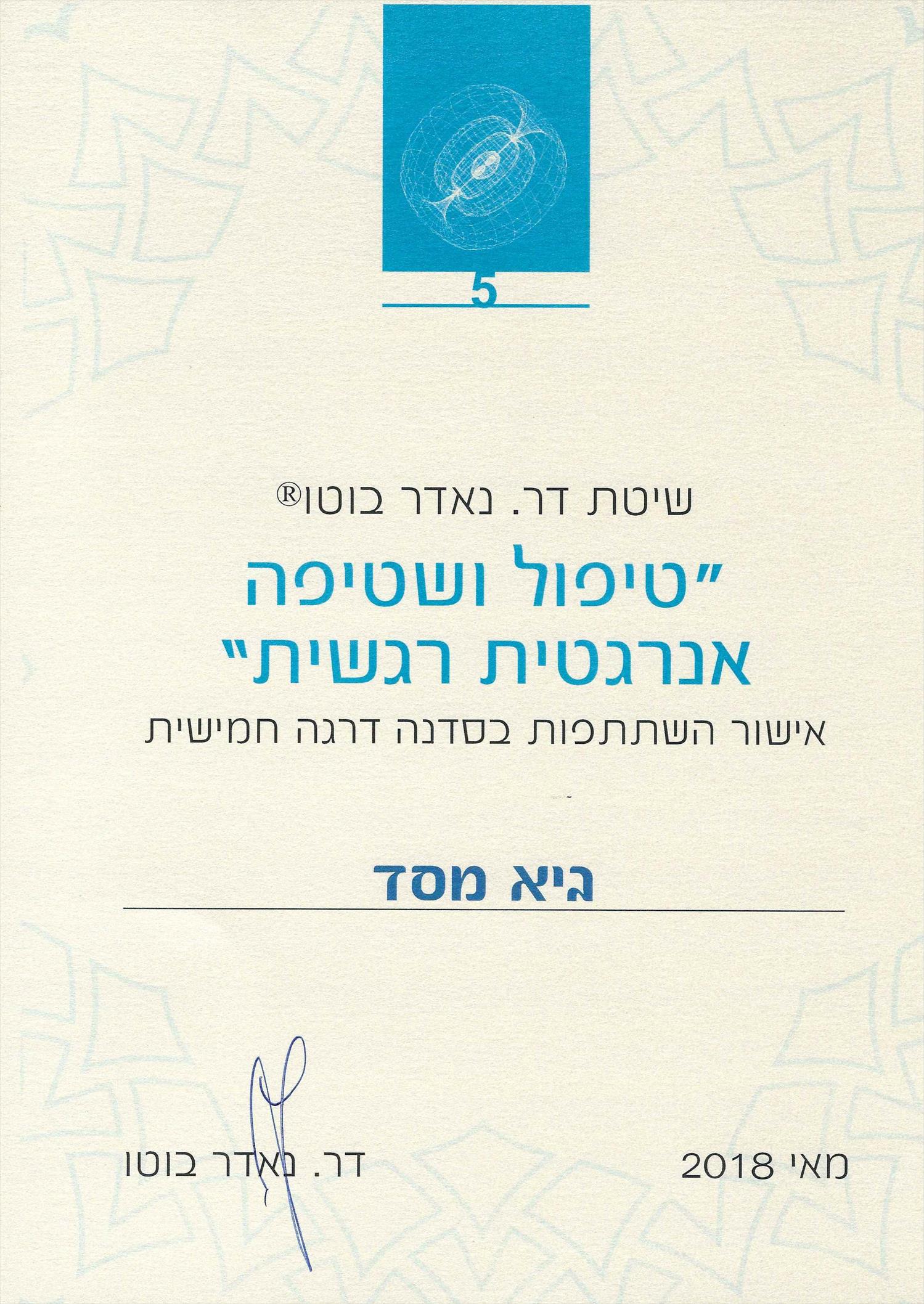 מטפל בשטיפה אנרגטית