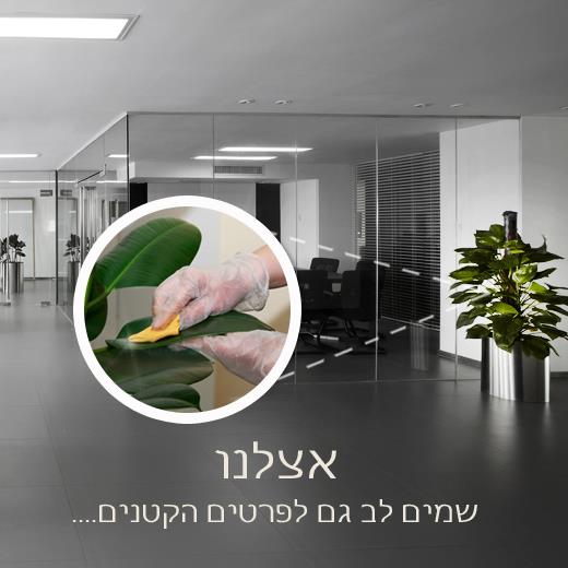 עיצוב פלייר