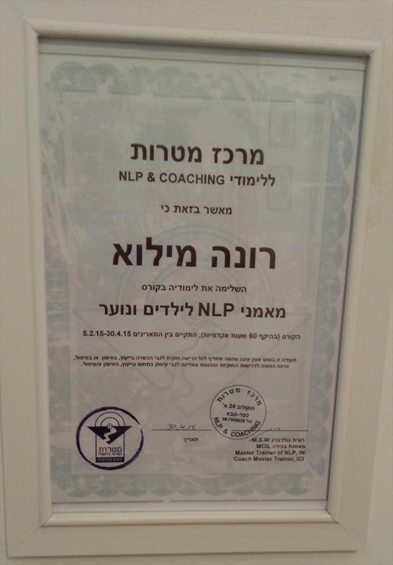 תעודות מקצועיות