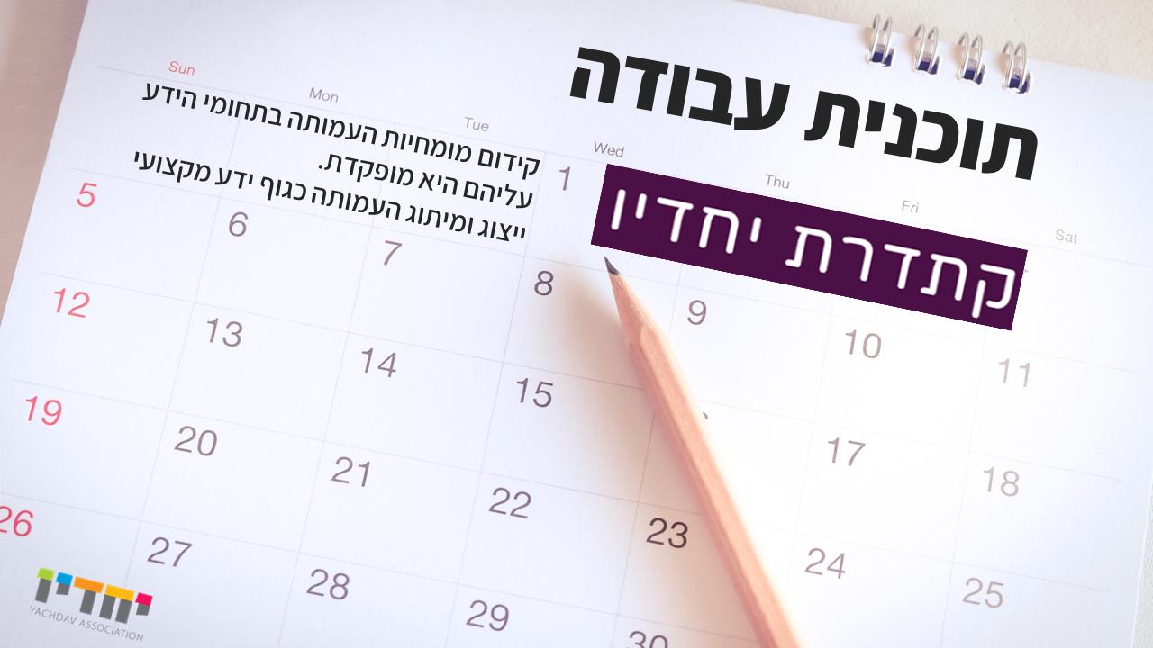 מצגת הנהלה המתארת את עיסוקי האירגון