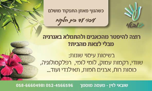 מגנט