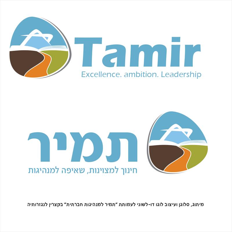 מיתוג דו לשוני לעמותת תמיר