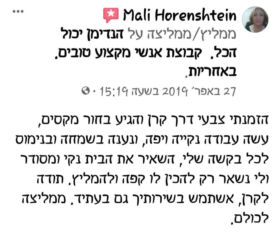 חוות דעת על עבודת צבע מאת הנדימן יכול הכל