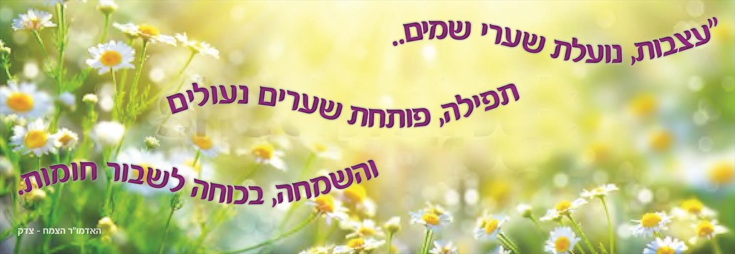 עיצוב מרחבי למידה