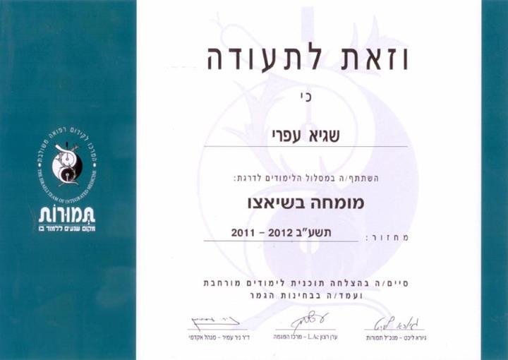 מומחה שיאצו